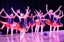 11   Sporulation 14